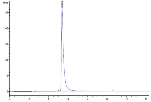 The purity of SARS-CoV-2 Spike S1 is greater than 95% as determined by SEC-HPLC.