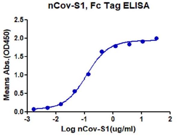Immobilized biotinylated ACE2, His Tag at 0.5ug\/ml (100ul\/Well). Dose response curve for Spike S1, Fc tag with the EC50 of 0.1ug\/ml determined by ELISA.