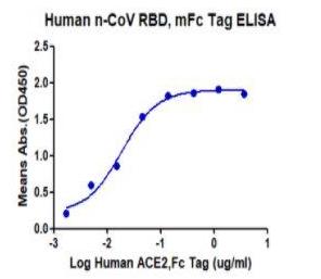 Immobilized SARS-CoV-2 RBD proteins at 0.5ug/ml (100ul/Well). Dose response curve for Human ACE2, with the EC50 of 18.7 ng/ml determined by ELISA.