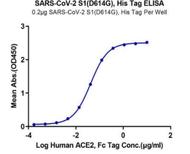 Immobilized SARS-CoV-2 Spike S1 (D614G) at 2ug\/ml (100ul\/Well). Dose-response curve for Human ACE2, Fc tag with the EC50 of 42ng\/ml determined by ELISA.