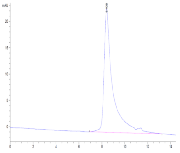 The purity of SARS-COV-2 S protein RBD (N501Y) is greater than 95% as determined by SEC-HPLC.