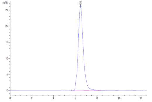 The purity of SARS-COV-2 Spike S1 (N501Y) Protein is greater than 95% as determined by SEC-HPLC.\r\n