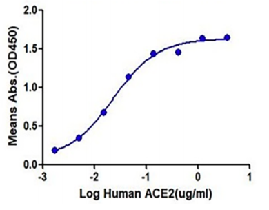 Immobilized SARS-COV-2 Spike S Trimer Protein, His Tag at 1ug\/ml (100ul\/Well). Dose-response curve for ACE2, Fc tag with the EC50 of 23.1ng\/ml determined by ELISA.