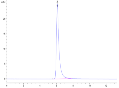 The purity of SARS-COV-2 Spike S Trimer (D614G) Protein is greater than 95% as determined by SEC-HPLC.