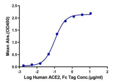 Immobilized SARS-COV-2 Spike S (D614G) Trimer, His Tag at 1ug\/ml (100ul\/Well). Dose-response curve for ACE2, Fc tag with the EC50 of 0.1ug\/ml determined by ELISA.