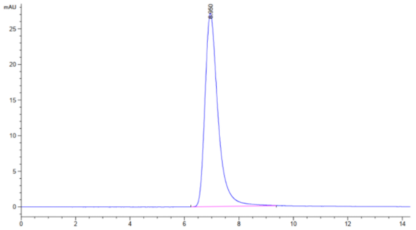 The purity of 2019-nCoV S protein RBD is greater than 95% as determined by SEC-HPLC.
