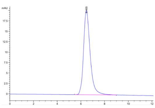The purity of SARS-COV-2 Spike S1 is greater than 95% as determined by SEC-HPLC.