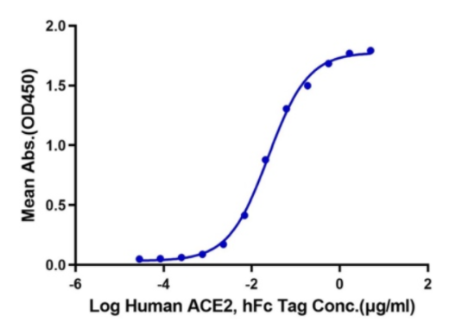 Immobilized SARS-CoV-2 Spike RBD (N501Y, K417N, E484K),  at 0.5ug\/ml (100ul\/Well). Dose-response curve for ACE2, hFc tag with the EC50 of 0.48ug\/ml determined by ELISA.
