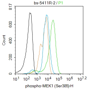 Hela cells were fixed with 4% PFA for 10min at room temperature,permeabilized with 0.1% PBST for 20 min at room temperature, and incubated in 5% BSA blocking buffer for 30 min at room temperature. Cells were then stained with MEK1 (Ser385) Polyclonal Antibody(bs-1796R)at 1:50 dilution in blocking buffer and incubated for 30 min at room temperature, washed twice with 2%BSA in PBS, followed by secondary antibody incubation for 40 min at room temperature. Acquisitions of 20,000 events were performed. Cells stained with primary antibody (green), and isotype control (orange).