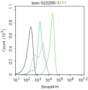 HUVEC cells were fixed with 4% PFA for 10min at room temperature,permeabilized with 0.1% PBST for 20 min at room temperature, and incubated in 5% BSA blocking buffer for 30 min at room temperature. Cells were then stained with Smad4 (3A1) Monoclonal Antibody(bsm-52205R)at 1:50 dilution in blocking buffer and incubated for 30 min at room temperature, washed twice with 2%BSA in PBS, followed by secondary antibody incubation for 40 min at room temperature. Acquisitions of 20,000 events were performed. Cells stained with primary antibody (green), and isotype control (orange).