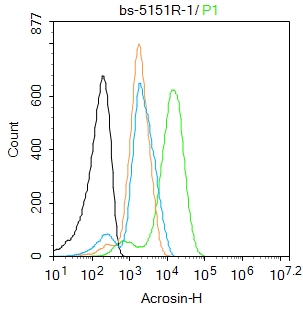 HUVEC cells were fixed with 4% PFA for 10min at room temperature,permeabilized with 90% ice-cold methanol for 20 min at room temperature, and incubated in 5% BSA blocking buffer for 30 min at room temperature. Cells were then stained with Acrosin Polyclonal Antibody(bs-5151R)at 1:50 dilution in blocking buffer and incubated for 30 min at room temperature, washed twice with 2%BSA in PBS, followed by secondary antibody incubation for 40 min at room temperature. Acquisitions of 20,000 events were performed. Cells stained with primary antibody (green), and isotype control (orange).