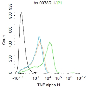 THP-1 cells were treated with TPA (80 nM, overnight) and then treated with LPS (1 ug\/mL, 18 hr\/6 hr) and Brefeldin A (300 ng\/mL, last 3 hr of stimulation) .The cells were fixed with 4% PFA for 10min at room temperature,permeabilized with 0.1% PBST for 20 min at room temperature, and incubated in 5% BSA blocking buffer for 30 min at room temperature. Cells were then stained with TNF alpha Polyclonal Antibody(bs-0078R)at 1:100 dilution in blocking buffer and incubated for 30 min at room temperature, washed twice with 2%BSA in PBS, followed by secondary antibody incubation for 40 min at room temperature. Acquisitions of 20,000 events were performed. Cells stained with primary antibody (green), and isotype control (orange).