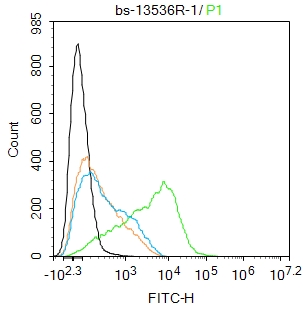 THP1 cells were incubated in 5% BSA blocking buffer for 30 min at room temperature. Cells were then stained with GPR43 Polyclonal Antibody(bs-13536R)at 1:100 dilution in blocking buffer and incubated for 30 min at room temperature, washed twice with 2%BSA in PBS, followed by secondary antibody incubation for 40 min at room temperature. Acquisitions of 20,000 events were performed. Cells stained with primary antibody (green), and isotype control (orange).