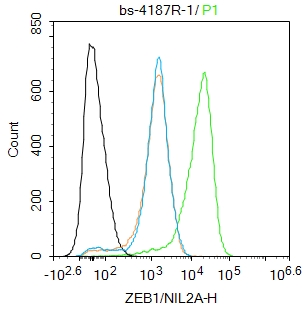 Jurkat cells were fixed with 4% PFA for 10min at room temperature,permeabilized with 90% ice-cold methanol for 20 min at -20℃, and incubated in 5% BSA blocking buffer for 30 min at room temperature. Cells were then stained with ZEB Polyclonal Antibody(bs-4187R)at 1:100 dilution in blocking buffer and incubated for 30 min at room temperature, washed twice with 2%BSA in PBS, followed by secondary antibody incubation for 40 min at room temperature. Acquisitions of 20,000 events were performed. Cells stained with primary antibody (green), and isotype control (orange). Jurkat cells were fixed with 4% PFA for 10min at room temperature,permeabilized with 90% ice-cold methanol for 20 min at -20℃, and incubated in 5% BSA blocking buffer for 30 min at room temperature. Cells were then stained with ZEB Polyclonal Antibody(bs-4187R)at 1:100 dilution in blocking buffer and incubated for 30 min at room temperature, washed twice with 2%BSA in PBS, followed by secondary antibody incubation for 40 min at room temperature. Acquisitions of 20,000 events were performed. Cells stained with primary antibody (green), and isotype control (orange).