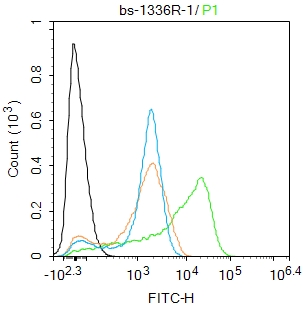 Jurkat cells were fixed with 4% PFA for 10min at room temperature,permeabilized with 0.1% PBST for 20 min at room temperature, and incubated in 5% BSA blocking buffer for 30 min at room temperature. Cells were then stained with BCL2L1 Polyclonal Antibody(bs-1336R)at 1:100 dilution in blocking buffer and incubated for 30 min at room temperature, washed twice with 2%BSA in PBS, followed by secondary antibody incubation for 40 min at room temperature. Acquisitions of 20,000 events were performed. Cells stained with primary antibody (green), and isotype control (orange).