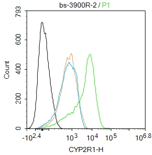 Jurkat cells were fixed with 4% PFA for 10min at room temperature,permeabilized with 0.1% PBST for 20 min at room temperature, and incubated in 5% BSA blocking buffer for 30 min at room temperature. Cells were then stained with CYP2R1 Polyclonal Antibody(bs-3900R)at 1:50 dilution in blocking buffer and incubated for 30 min at room temperature, washed twice with 2%BSA in PBS, followed by secondary antibody incubation for 40 min at room temperature. Acquisitions of 20,000 events were performed. Cells stained with primary antibody (green), and isotype control (orange).