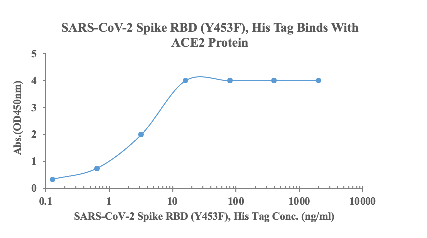 Measured by its binding ability in a functional ELISA. Immobilized human ACE2, His-Avi Tag (Cat: bs-46001P) at 2\u03bcg\/ml (100ul\/Well) can bind SARS-CoV-2 Spike RBD (Y453F), His Tag (Cat: bs-41450P), the EC50 is 8.34ng\/ml.\r\n