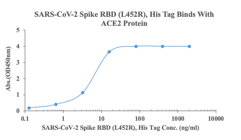 Measured by its binding ability in a functional ELISA. Immobilized human ACE2, His-Avi Tag (Cat: bs-46001P) at 2μg/ml (100ul/Well) can bind SARS-CoV-2 Spike RBD (L452R), His Tag (Cat: bs-41458P), the EC50 is 5.24ng/ml.