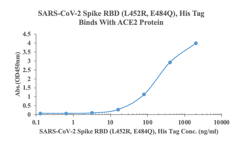 Measured by its binding ability in a functional ELISA. Immobilized human ACE2, His-Avi Tag (Cat: bs-46001P) at 2μg/ml (100ul/Well) can bind SARS-CoV-2 Spike RBD (L452R, E484Q), His Tag (Cat: bs-43039P), the EC50 is 165ng/ml.