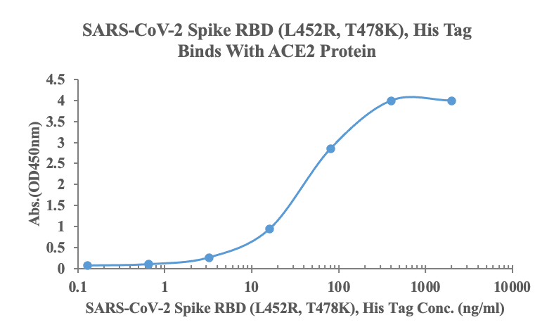 Measured by its binding ability in a functional ELISA. Immobilized human ACE2, His-Avi Tag (Cat: bs-46001P) at 2\u03bcg\/ml (100ul\/Well) can bind SARS-CoV-2 Spike RBD (L452R, T478K), His Tag (Cat: bs-43048P), the EC50 is 41ng\/ml.\r\n