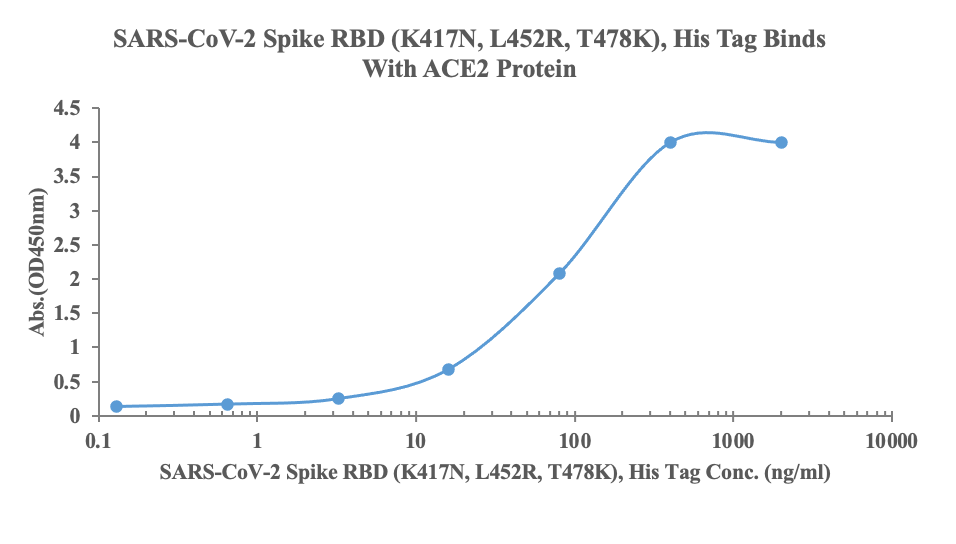 Measured by its binding ability in a functional ELISA. Immobilized human ACE2, His-Avi Tag (Cat: bs-46001P) at 2μg/ml (100ul/Well) can bind SARS-CoV-2 Spike RBD (L452Q, F490S), His Tag (Cat: bs-43052P), the EC50 is 74ng/ml.