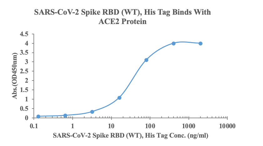 Measured by its binding ability in a functional ELISA. Immobilized human ACE2, His-Avi Tag (Cat: bs-46001P) at 2μg/ml (100ul/Well) can bind SARS-CoV-2 Spike RBD (WT), His Tag (Cat: bs-43047P), the EC50 is 34ng/ml.