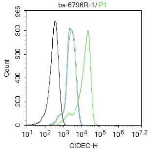 A431 cells were fixed with 4% PFA for 10min at room temperature,permeabilized with 0.1% PBST for 20 min at room temperature, and incubated in 5% BSA blocking buffer for 30 min at room temperature. Cells were then stained with CIDEC Polyclonal Antibody(bs-6796R)at 1:100 dilution in blocking buffer and incubated for 30 min at room temperature, washed twice with 2%BSA in PBS, followed by secondary antibody incubation for 40 min at room temperature. Acquisitions of 20,000 events were performed. Cells stained with primary antibody (green), and isotype control (orange).