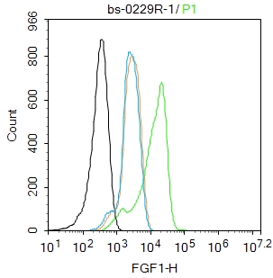 A431 cells were fixed with 4% PFA for 10min at room temperature,permeabilized with 0.1% PBST for 20 min at room temperature, and incubated in 5% BSA blocking buffer for 30 min at room temperature. Cells were then stained with FGF1 Polyclonal Antibody(bs-0229R)at 1:100 dilution in blocking buffer and incubated for 30 min at room temperature, washed twice with 2%BSA in PBS, followed by secondary antibody incubation for 40 min at room temperature. Acquisitions of 20,000 events were performed. Cells stained with primary antibody (green), and isotype control (orange).