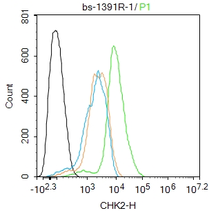 A431 cells were fixed with 4% PFA for 10min at room temperature,permeabilized with 90% ice-cold methanol for 20 min at -20℃, and incubated in 5% BSA blocking buffer for 30 min at room temperature. Cells were then stained with CHK2 Polyclonal Antibody(bs-1391R)at 1:100 dilution in blocking buffer and incubated for 30 min at room temperature, washed twice with 2%BSA in PBS, followed by secondary antibody incubation for 40 min at room temperature. Acquisitions of 20,000 events were performed. Cells stained with primary antibody (green), and isotype control (orange).