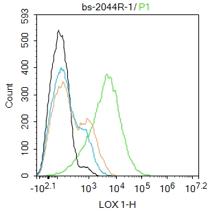 Thp-1 cells were incubated in 5% BSA blocking buffer for 30 min at room temperature. Cells were then stained with LOX 1  Polyclonal Antibody(bs- 2044R)at 1:100 dilution in blocking buffer and incubated for 30 min at room temperature, washed twice with 2%BSA in PBS, followed by secondary antibody incubation for 40 min at room temperature. Acquisitions of 20,000 events were performed. Cells stained with primary antibody (green), and isotype control (orange).