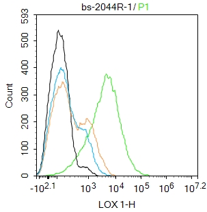 Thp-1 cells were incubated in 5% BSA blocking buffer for 30 min at room temperature. Cells were then stained with LOX 1 Polyclonal Antibody(bs- 2044R)at 1:100 dilution in blocking buffer and incubated for 30 min at room temperature, washed twice with 2%BSA in PBS, followed by secondary antibody incubation for 40 min at room temperature. Acquisitions of 20,000 events were performed. Cells stained with primary antibody (green), and isotype control (orange).