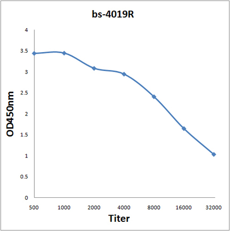 Antigen: bs-4019P, 0.2ug/100ul \nPrimary: Antiserum, 1:500, 1:1000, 1:2000, 1:4000, 1:8000, 1:16000, 1:32000; \nSecondary: HRP conjugated Goat Anti-Rabbit IgG(bs-295G-HRP) at 1: 5000; \nTMB staining; \nRead the data in MicroplateReader by 450nm. \n