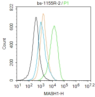 A549 cells were fixed with 4% PFA for 10min at room temperature,permeabilized with 90% ice-cold methanol for 20 min at -20℃, and incubated in 5% BSA blocking buffer for 30 min at room temperature. Cells were then stained with ASCL1 Antibody(bs-1155R)at 1:50 dilution in blocking buffer and incubated for 30 min at room temperature, washed twice with 2%BSA in PBS, followed by secondary antibody incubation for 40 min at room temperature. Acquisitions of 20,000 events were performed. Cells stained with primary antibody (green), and isotype control (orange).