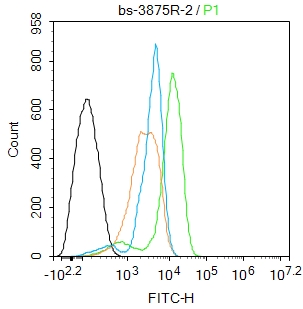 Hela cells were fixed with 4% PFA for 10min at room temperature,permeabilized with PBST for 20 min at room temperature, and incubated in 5% BSA blocking buffer for 30 min at room temperature. Cells were then stained with PRDX1 Antibody(bs-3875R)at 1:50 dilution in blocking buffer and incubated for 30 min at room temperature, washed twice with 2%BSA in PBS, followed by secondary antibody incubation for 40 min at room temperature. Acquisitions of 20,000 events were performed. Cells stained with primary antibody (green), and isotype control (orange).