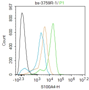 THP-1 cells were fixed with 4% PFA for 10min at room temperature,permeabilized with 90% ice-cold methanol for 20 min at -20℃, and incubated in 5% BSA blocking buffer for 30 min at room temperature. Cells were then stained with S100A4 Antibody(bs-3759R)at 1:100 dilution in blocking buffer and incubated for 30 min at room temperature, washed twice with 2%BSA in PBS, followed by secondary antibody incubation for 40 min at room temperature. Acquisitions of 20,000 events were performed. Cells stained with primary antibody (green), and isotype control (orange).