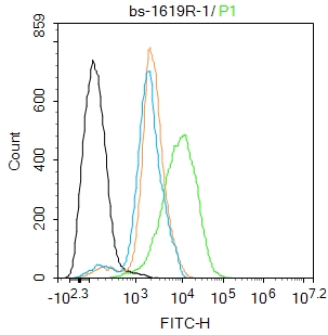 Hela cells were fixed with 4% PFA for 10min at room temperature,permeabilized with 90% ice-cold methanol for 20 min at -20℃,and incubated in 5% BSA blocking buffer for 30 min at room temperature. Cells were then stained with Smad1 + Smad5 Antibody(bs-1619R)at 1:100 dilution in blocking buffer and incubated for 30 min at room temperature, washed twice with 2%BSA in PBS, followed by secondary antibody incubation for 40 min at room temperature. Acquisitions of 20,000 events were performed. Cells stained with primary antibody (green), and isotype control (orange).