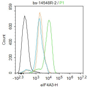 Hela cells were fixed with 4% PFA for 10min at room temperature,permeabilized with 90% ice-cold methanol for 20 min at -20℃,and incubated in 5% BSA blocking buffer for 30 min at room temperature. Cells were then stained with eIF4A3 Antibody(bs-14548R)at 1:50 dilution in blocking buffer and incubated for 30 min at room temperature, washed twice with 2%BSA in PBS, followed by secondary antibody incubation for 40 min at room temperature. Acquisitions of 20,000 events were performed. Cells stained with primary antibody (green), and isotype control (orange).