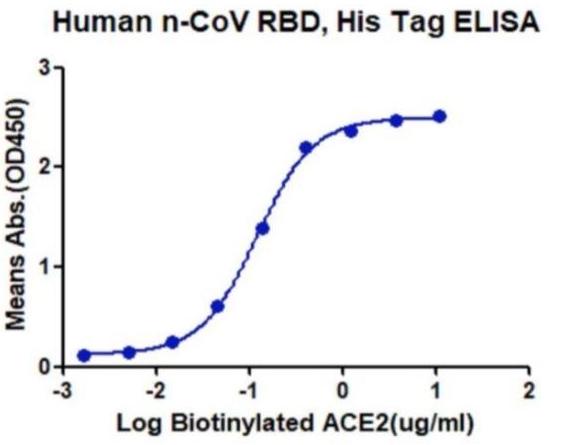 Immobilized biotinylated n-COV RBD at 1ug/ml (100ul/Well). Dose-response curve for Biotinylated ACE2 with the EC50 of 0.1ug/ml determined by ELISA.