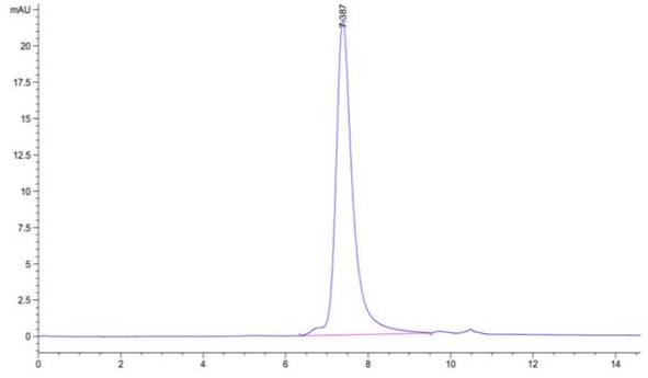 The purity of Biotinylated SARS-CoV-2 S protein RBD is greater than 95% as determined by SEC-HPLC.