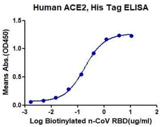 Immobilized n-COV RBD at 1ug\/ml (100ul\/Well). Dose-response curve for Biotinylated ACE2 with the EC50 of 0.1ug\/ml determined by ELISA.