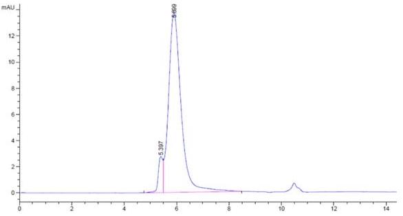 The purity of biotinylated SARS-CoV-2 Spikee S1 is greater than 95% as determined by SEC-HPLC.