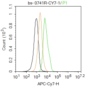 Hela cells were fixed with 4% PFA for 10min at room temperature,permeabilized with 0.1% PBST for 20 min at room temperature, and incubated in 5% BSA blocking buffer for 30 min at room temperature. Cells were then stained with CDKN1A Polyclonal Antibody(bs-0741R-CY7),Cy7 Conjugated.at 1:100 dilution in blocking buffer and incubated for 30 min at room temperature, washed twice with 2%BSA in PBS. Acquisitions of 20,000 events were performed. Cells stained with primary antibody (green), and isotype control (orange).