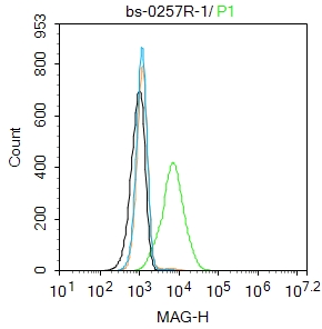 SH-SY5Y cells were incubated in 5% BSA blocking buffer for 30 min at room temperature. Cells were then stained with MAG Polyclonal Antibody(bs-0257R)at 1:100 dilution in blocking buffer and incubated for 30 min at room temperature, washed twice with 2%BSA in PBS, followed by secondary antibody incubation for 40 min at room temperature. Acquisitions of 20,000 events were performed. Cells stained with primary antibody (green), and isotype control (orange).