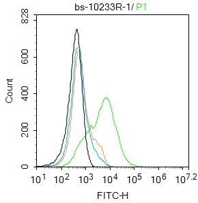 293T cells were incubated in 5% BSA blocking buffer for 30 min at room temperature. Cells were then stained with Nephrin Antibody(bs-10233R)at 1:100 dilution in blocking buffer and incubated for 30 min at room temperature, washed twice with 2%BSA in PBS, followed by secondary antibody incubation for 40 min at room temperature. Acquisitions of 20,000 events were performed. Cells stained with primary antibody (green), and isotype control (orange).