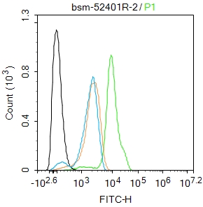 A549 cells were fixed with 4% PFA for 10min at room temperature,permeabilized with 90% ice-cold methanol for 20 min at -20℃, and incubated in 5% BSA blocking buffer for 30 min at room temperature. Cells were then stained with MKLP1 (7C9) Monoclonal Antibody(bsm-52401R)at 1:100 dilution in blocking buffer and incubated for 30 min at room temperature, washed twice with 2%BSA in PBS, followed by secondary antibody incubation for 40 min at room temperature. Acquisitions of 20,000 events were performed. Cells stained with primary antibody (green), and isotype control (orange).