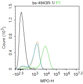 HL60 cells were fixed with 4% PFA for 10min at room temperature,permeabilized with 90% ice-cold methanol for 20 min at -20℃, and incubated in 5% BSA blocking buffer for 30 min at room temperature. Cells were then stained with MPO Polyclonal Antibody(bs-4943R)at 1:100 dilution in blocking buffer and incubated for 30 min at room temperature, washed twice with 2%BSA in PBS, followed by secondary antibody incubation for 40 min at room temperature. Acquisitions of 20,000 events were performed. Cells stained with primary antibody (green), and isotype control (orange).