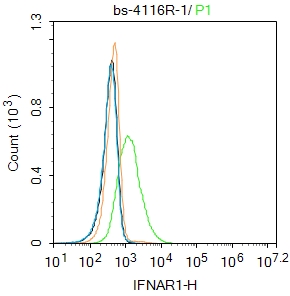 K562 cells were incubated in 5% BSA blocking buffer for 30 min at room temperature. Cells were then stained with IFNAR1 Polyclonal Antibody(bs-4116R)at 1:100 dilution in blocking buffer and incubated for 30 min at room temperature, washed twice with 2%BSA in PBS, followed by secondary antibody incubation for 40 min at room temperature. Acquisitions of 20,000 events were performed. Cells stained with primary antibody (green), and isotype control (orange).