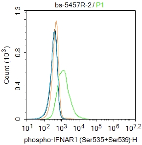 K562 cells were incubated in 5% BSA blocking buffer for 30 min at room temperature. Cells were then stained with IFNAR1(Ser535+Ser538) Antibody(bs-5457R)at 1:50 dilution in blocking buffer and incubated for 30 min at room temperature, washed twice with 2%BSA in PBS, followed by secondary antibody incubation for 40 min at room temperature. Acquisitions of 20,000 events were performed. Cells stained with primary antibody (green), and isotype control (orange).