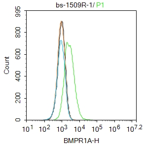 A549 cells were incubated in 5% BSA blocking buffer for 30 min at room temperature. Cells were then stained with BMPR1A Polyclonal Antibody(bs-1509R)at 1:100 dilution in blocking buffer and incubated for 30 min at room temperature, washed twice with 2%BSA in PBS, followed by secondary antibody incubation for 40 min at room temperature. Acquisitions of 20,000 events were performed. Cells stained with primary antibody (green), and isotype control (orange).