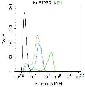 A549 cells were fixed with 4% PFA for 10min at room temperature,permeabilized with 90% ice-cold methanol for 20 min at -20℃, and incubated in 5% BSA blocking buffer for 30 min at room temperature. Cells were then stained with Annexin A10 Polyclonal Antibody(bs-5127R)at 1:100 dilution in blocking buffer and incubated for 30 min at room temperature, washed twice with 2%BSA in PBS, followed by secondary antibody incubation for 40 min at room temperature. Acquisitions of 20,000 events were performed. Cells stained with primary antibody (green), and isotype control (orange).
